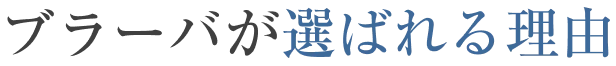 ブラーバが選ばれる理由
