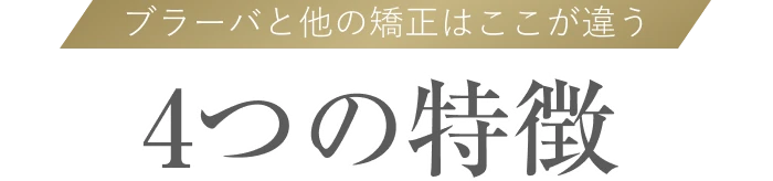 ブラーバの4つの特徴